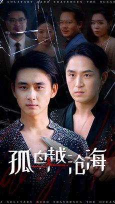 《孤鸟越沧海(2025)》高清海报 免费在线观看