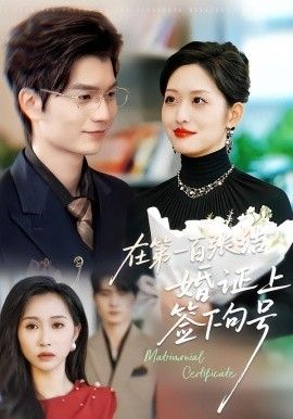 《在第一百张结婚证上签下句号(2026)》高清海报 免费在线观看