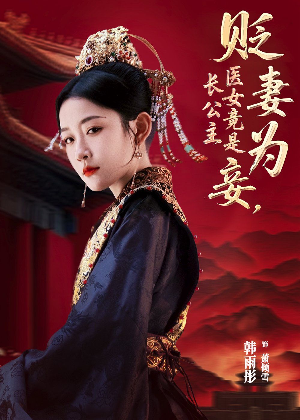 《贬妻为妾医女竟是长公主(2025)》高清海报 免费在线观看