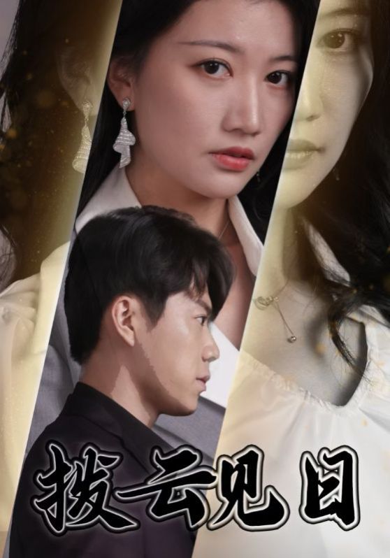 《拨云见日(2025)》高清海报 免费在线观看