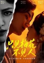 《只见梅花不见人(2025)》高清海报 免费在线观看