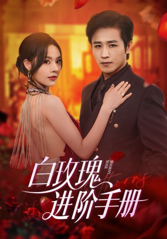 《白玫瑰进阶手册(2025)》高清海报 免费在线观看