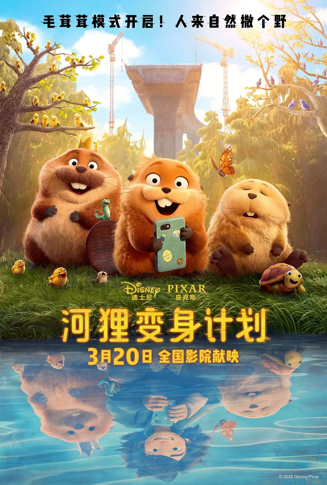 《河狸变身计划（普通话版）(2026)》高清海报 免费在线观看