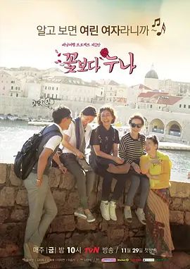 《花样姐姐(2013)》高清海报 免费在线观看