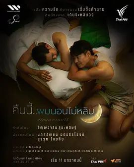 《难眠之夜(2026)》高清海报 免费在线观看