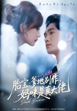《胎宝：爹地别作，妈咪是真大佬(2026)》高清海报 免费在线观看