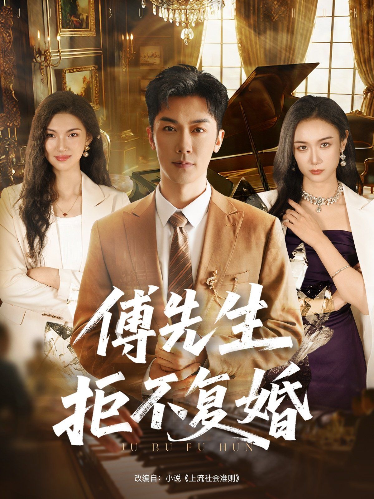 《傅先生拒不复婚(2025)》高清海报 免费在线观看