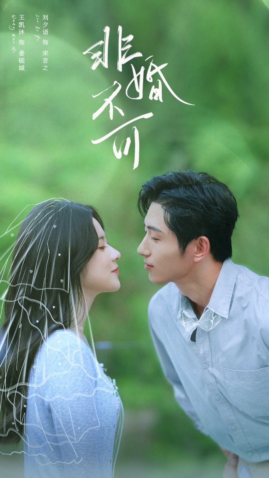 《非婚不可(2025)》高清海报 免费在线观看