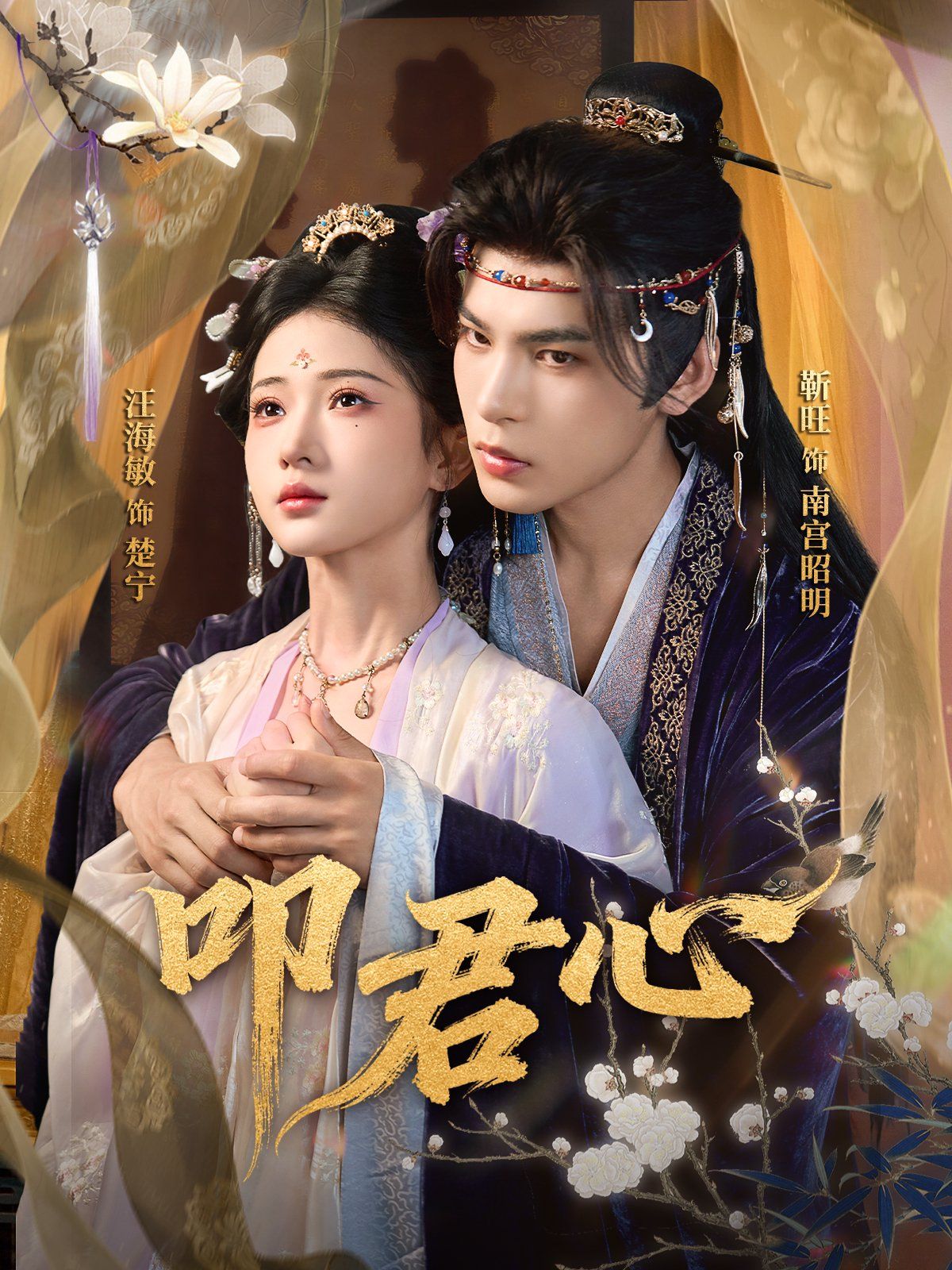 《叩君心(2025)》高清海报 免费在线观看