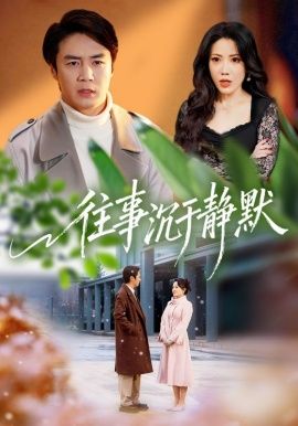 《往事沉于静默(2026)》高清海报 免费在线观看