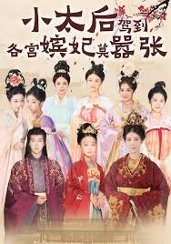 《小太后驾到，各宫嫔妃莫嚣张(2025)》高清海报 免费在线观看