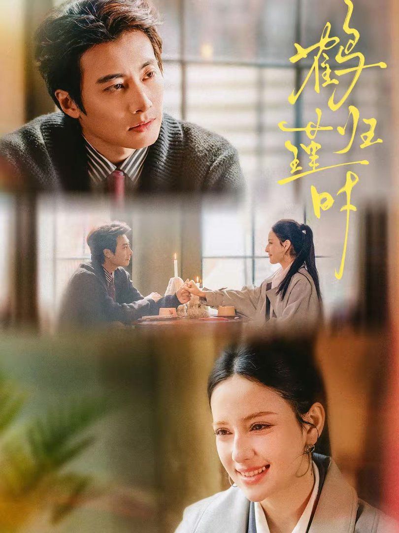 《鹤归瑾时(2026)》高清海报 免费在线观看