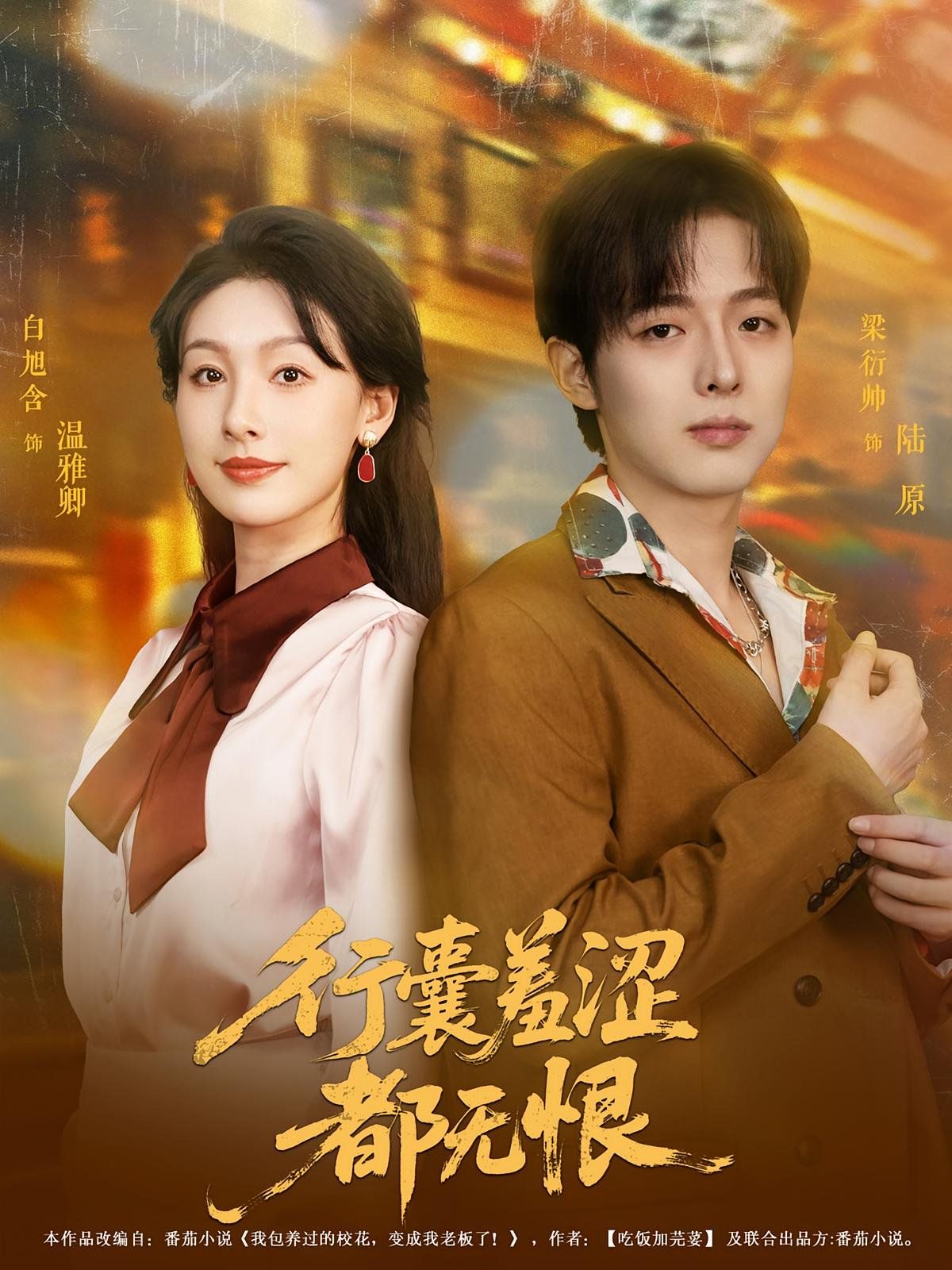 《行囊羞涩都无恨(2025)》高清海报 免费在线观看