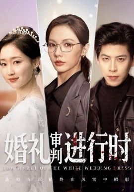 《婚礼审判进行时(2025)》高清海报 免费在线观看
