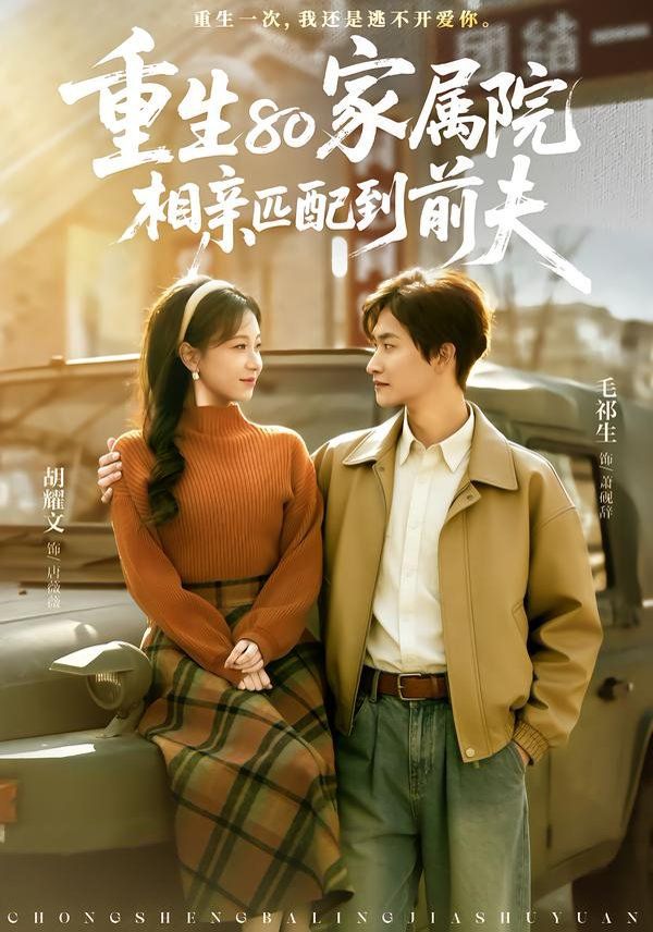 《重生80家属院，相亲匹配到前夫(2006)》高清海报 免费在线观看