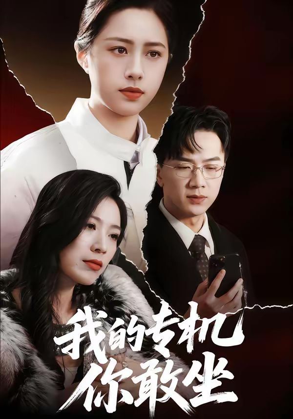 《我的专机你敢坐(2026)》高清海报 免费在线观看