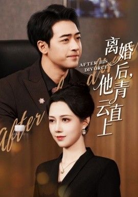 《离婚后他青云直上(2026)》高清海报 免费在线观看