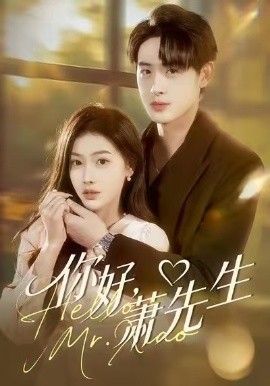 《你好，萧先生(2026)》高清海报 免费在线观看