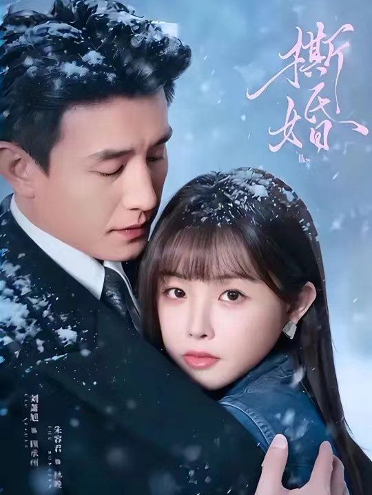 《撕婚(2026)》高清海报 免费在线观看