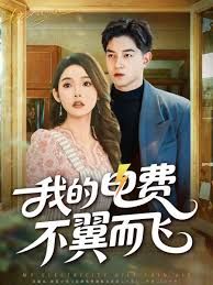 《我的电费不翼而飞(2025)》高清海报 免费在线观看