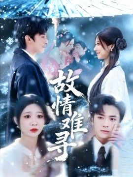 《故情难寻(2026)》高清海报 免费在线观看