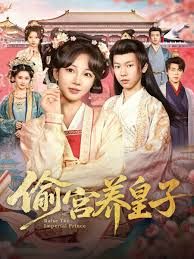 《偷宫养皇子(2025)》高清海报 免费在线观看