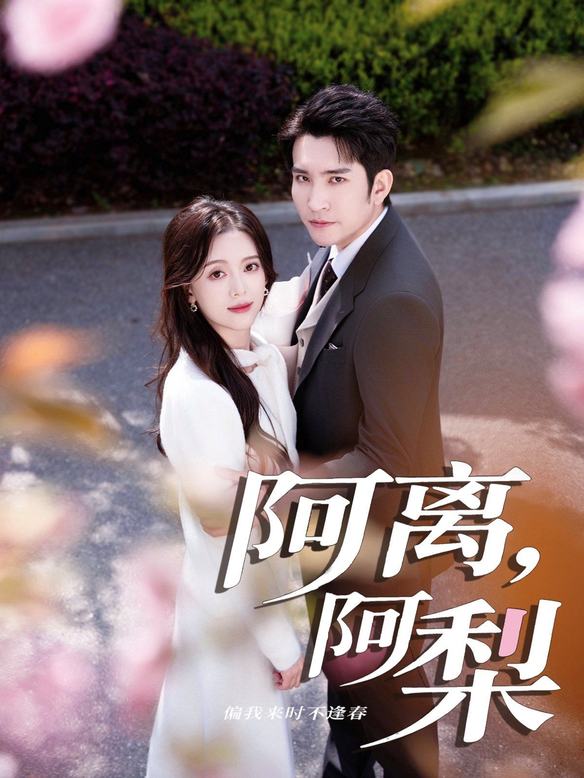 《阿离阿梨(2025)》高清海报 免费在线观看