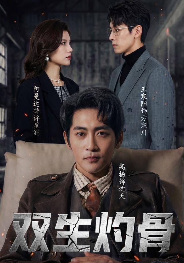 《双生灼骨(2026)》高清海报 免费在线观看