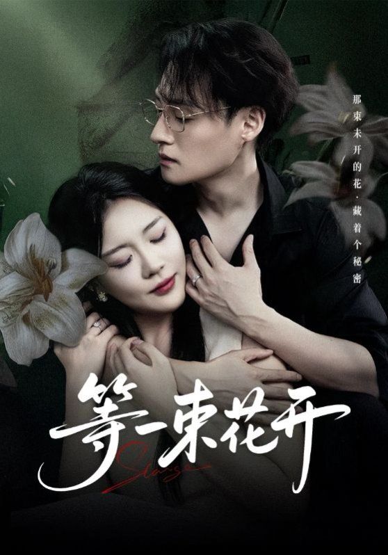 《等一束花开(2025)》高清海报 免费在线观看