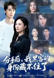 《分手后，我黑客的身份藏不住了(2025)》高清海报 免费在线观看