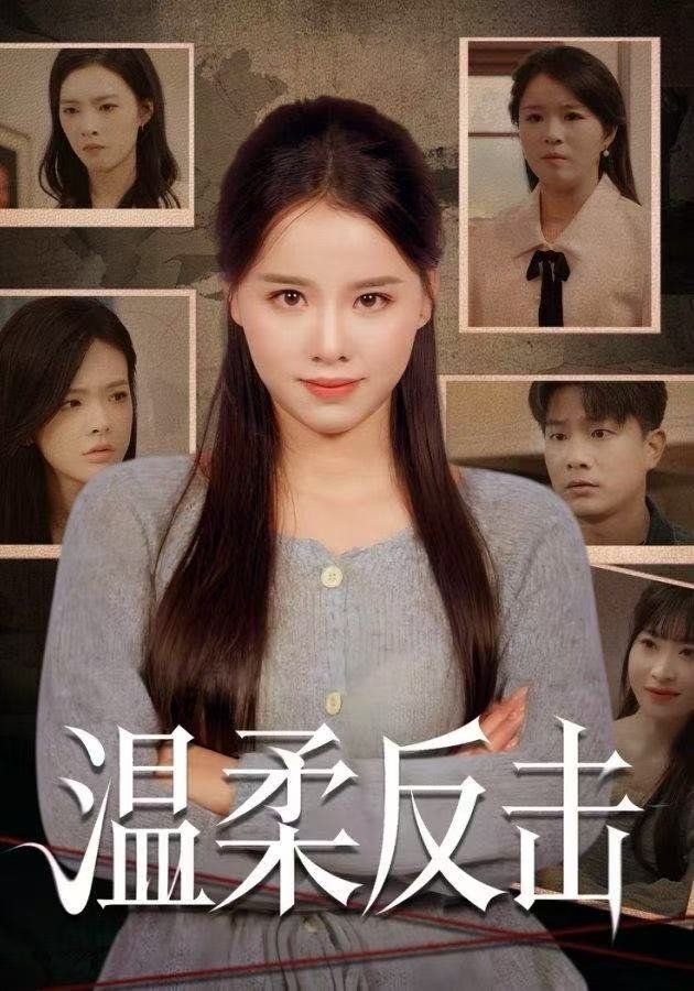 《温柔反击(2025)》高清海报 免费在线观看