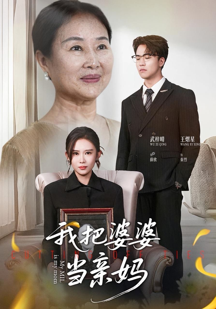 《我把婆婆当亲妈(2025)》高清海报 免费在线观看