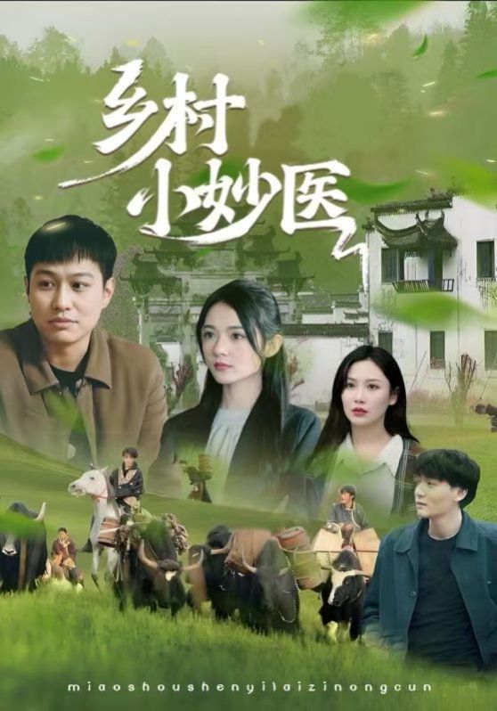 《乡村小妙医(2025)》高清海报 免费在线观看