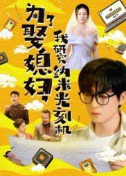《为了娶媳妇我研究纳米光刻机(2025)》高清海报 免费在线观看