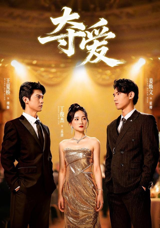 《夺爱(2025)》高清海报 免费在线观看