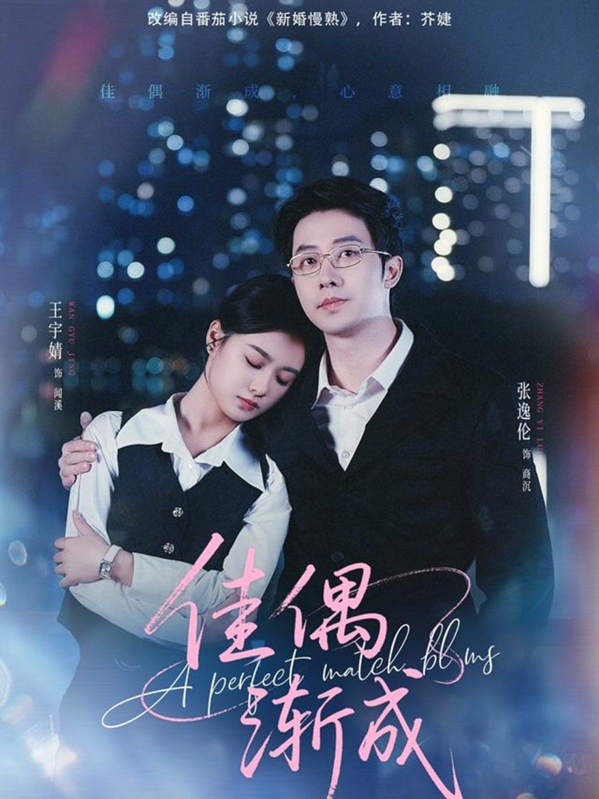 《佳偶渐成(2025)》高清海报 免费在线观看
