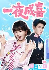 《一夜成喜(2025)》高清海报 免费在线观看
