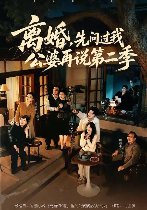 《离婚，先问过我公婆再说第二季(2026)》高清海报 免费在线观看