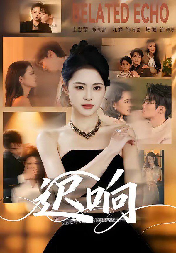 《迟响(2026)》高清海报 免费在线观看