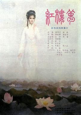 《红楼梦第六部：宝玉化石(1989)》高清海报 免费在线观看