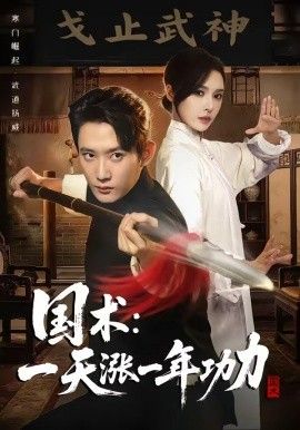《国术，一天涨一年功力(2026)》高清海报 免费在线观看