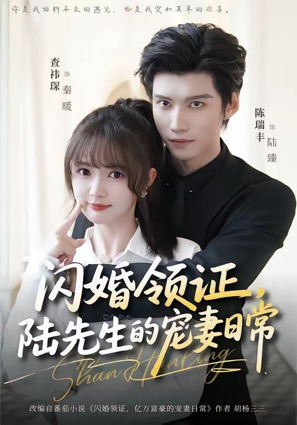 《闪婚领证，陆先生的宠妻日常(2026)》高清海报 免费在线观看