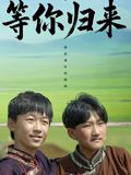 《等你归来(2025)》高清海报 免费在线观看