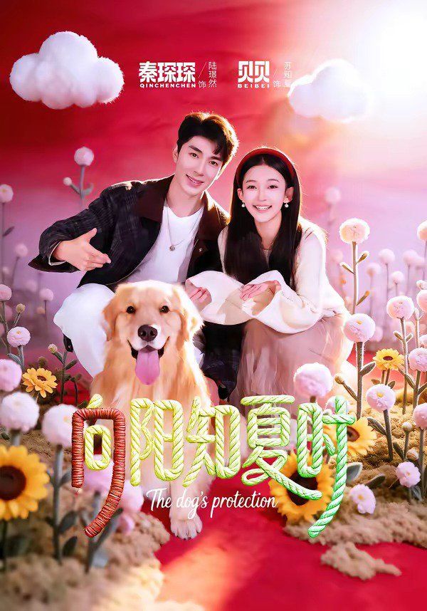《向阳知夏时(2026)》高清海报 免费在线观看