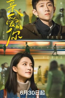 《亲爱的你(2025)》高清海报 免费在线观看