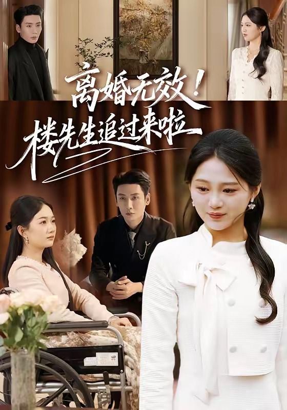 《离婚无效！楼先生追过来啦(2026)》高清海报 免费在线观看