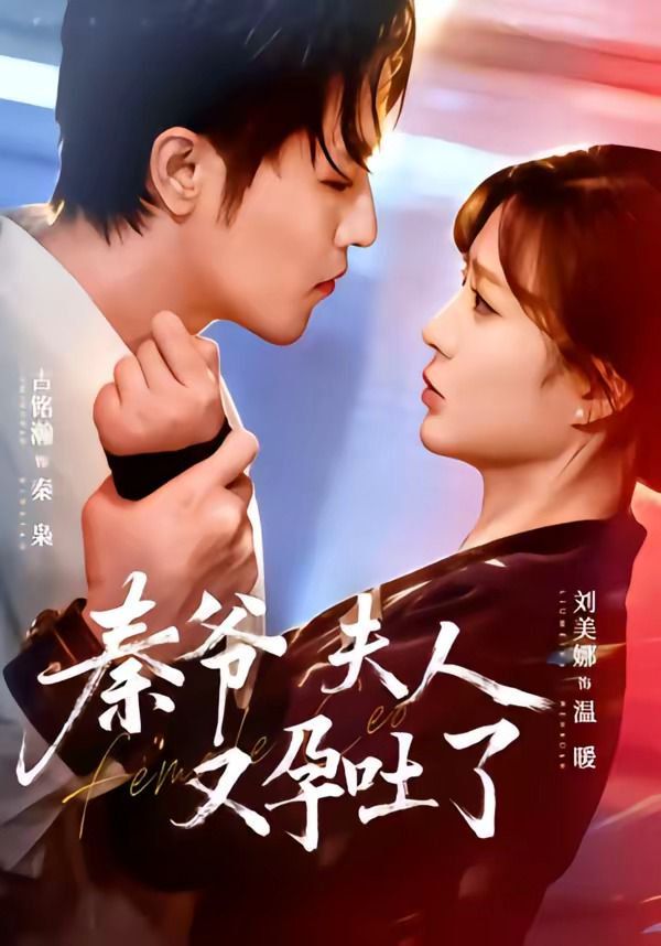 《秦爷夫人又孕吐了(2026)》高清海报 免费在线观看