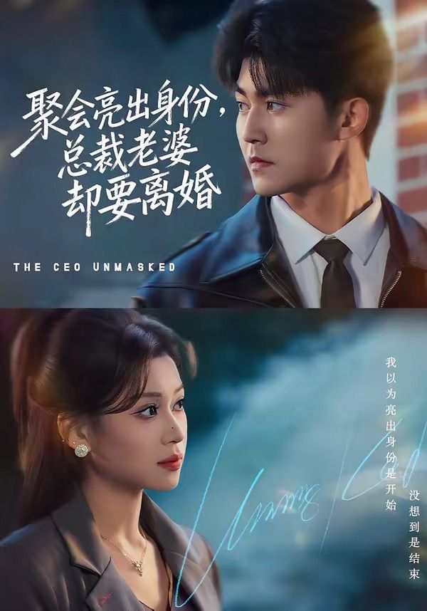 《聚会亮出身份，总裁老婆却要离婚(2026)》高清海报 免费在线观看