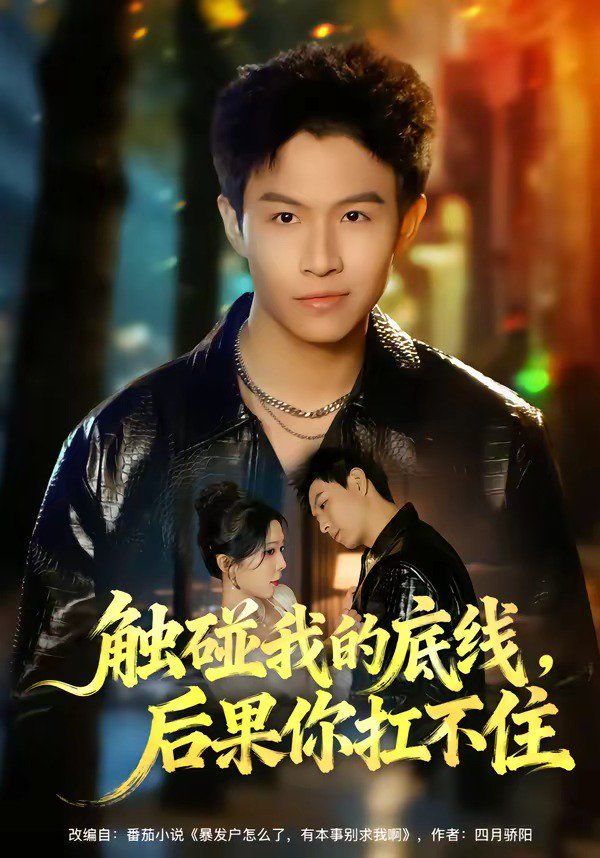 《触碰我的底线，后果你扛不住(2026)》高清海报 免费在线观看