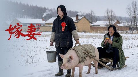 《嫁妻(2026)》高清海报 免费在线观看